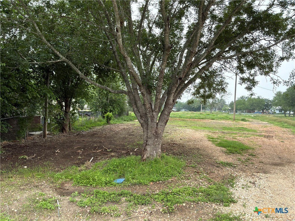 Picture 6