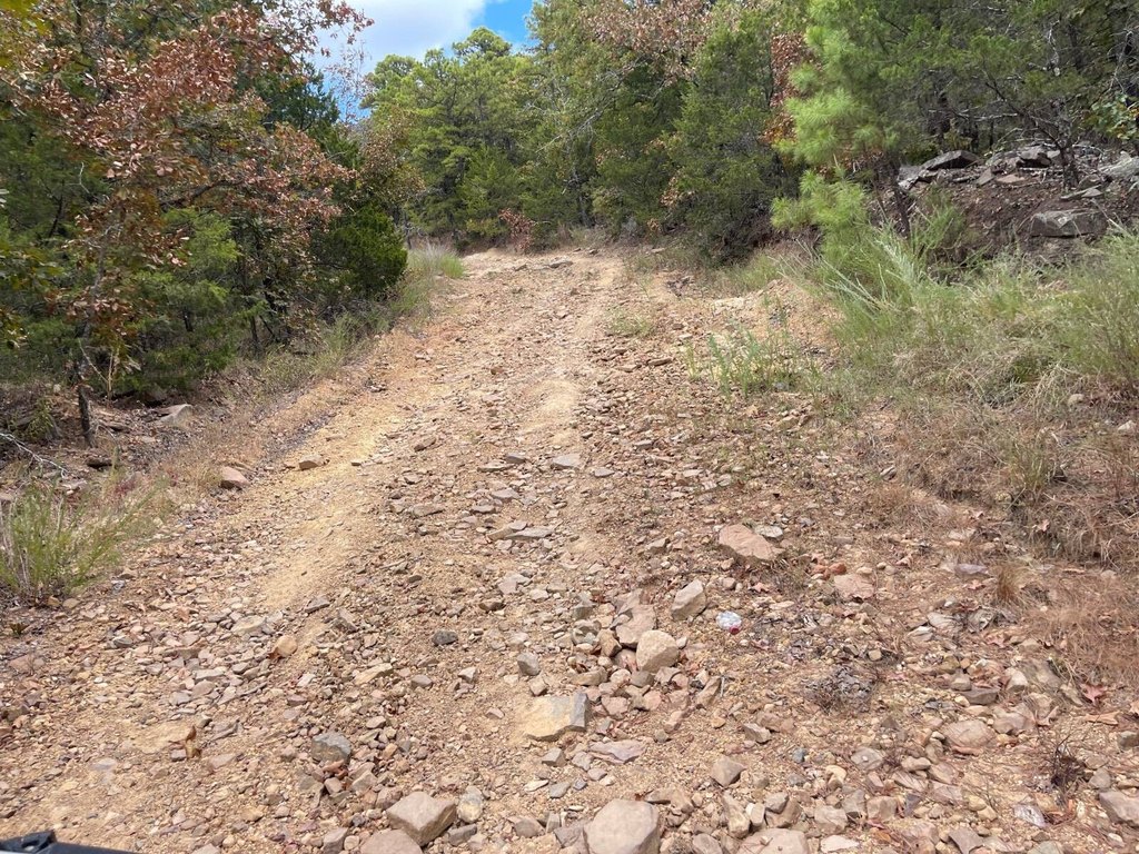Picture 19