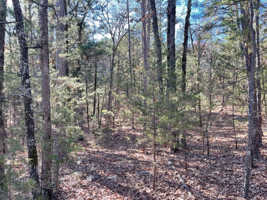 Picture 16