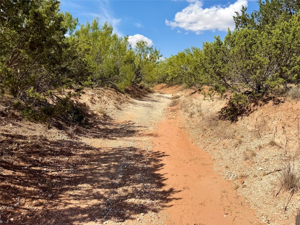 Picture 27