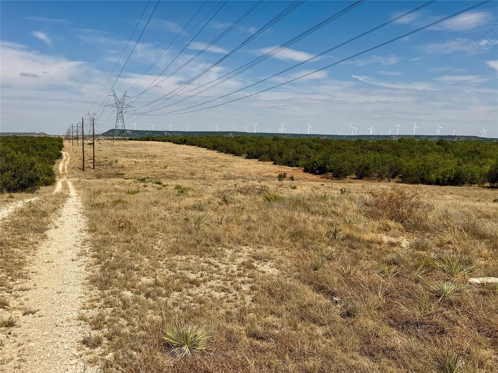Picture 16
