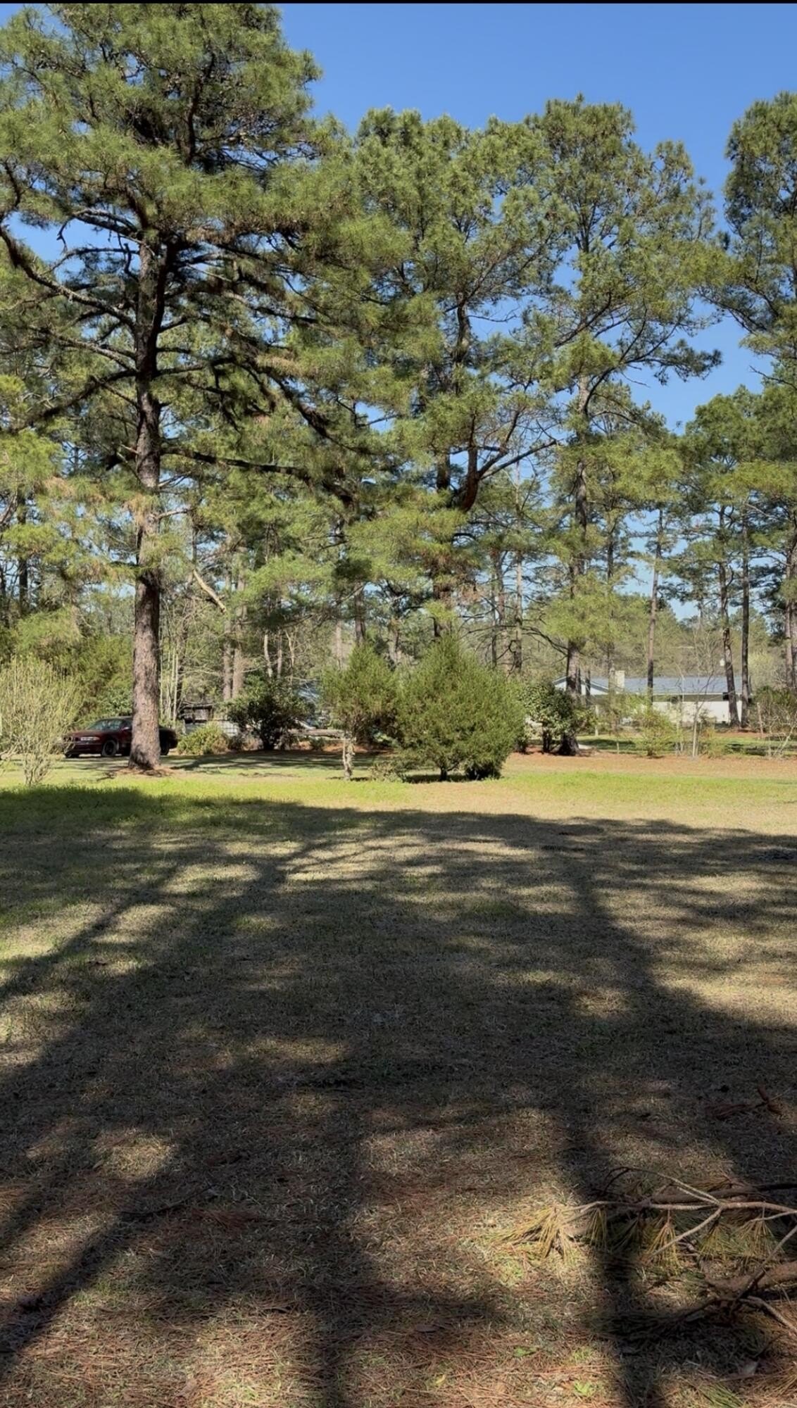Spacious Lot in Turbeville, SC