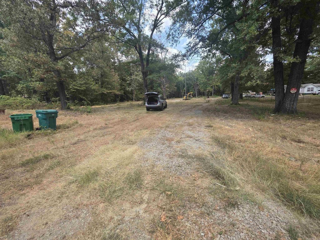 Picture 14