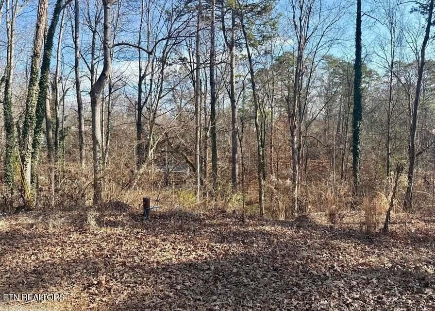 Unrestricted Land Near Douglas Lake