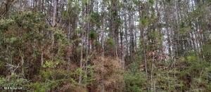 Lumberton Wooded Lot For Sale