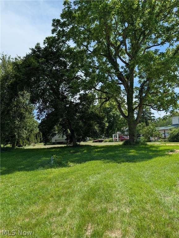 Picture 6