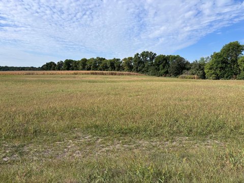 Level Residential Development Lot