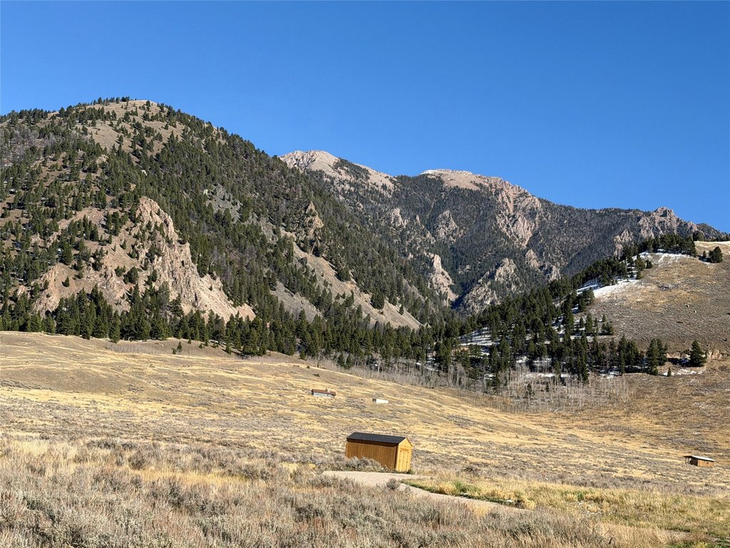 Picture 4