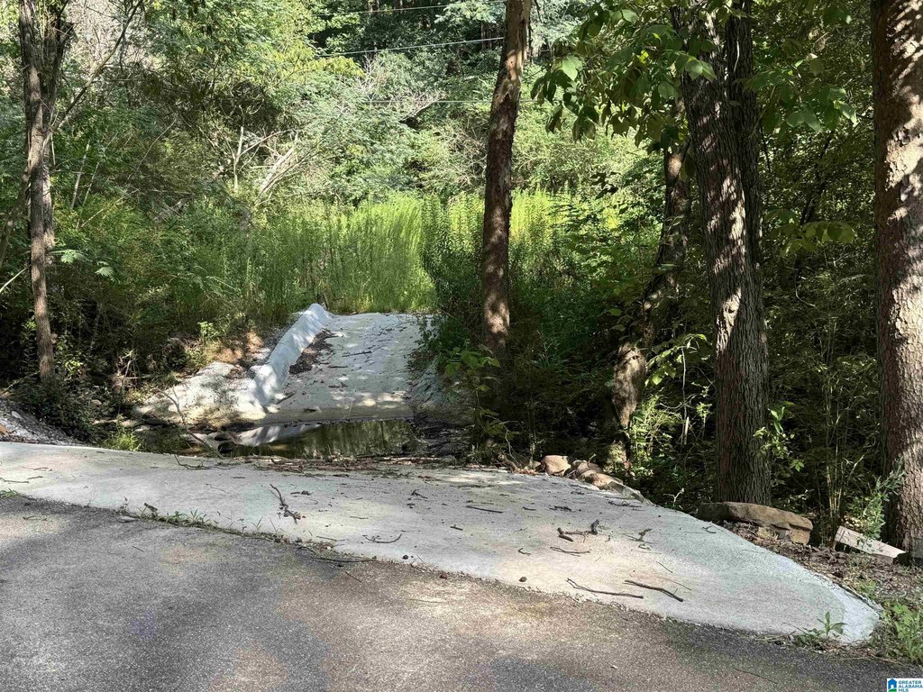 Picture 8