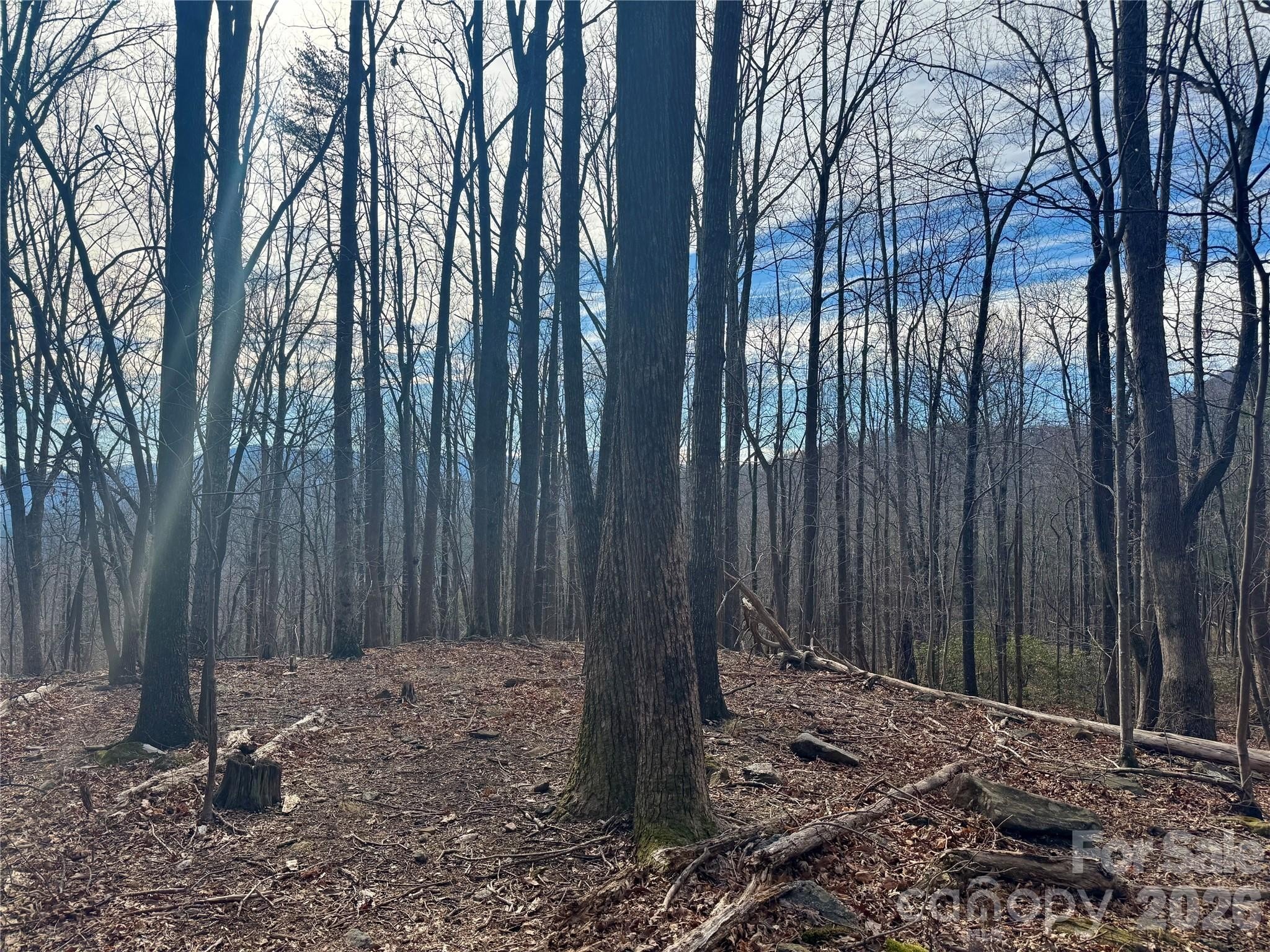 Bright's Creek Homesite with Views