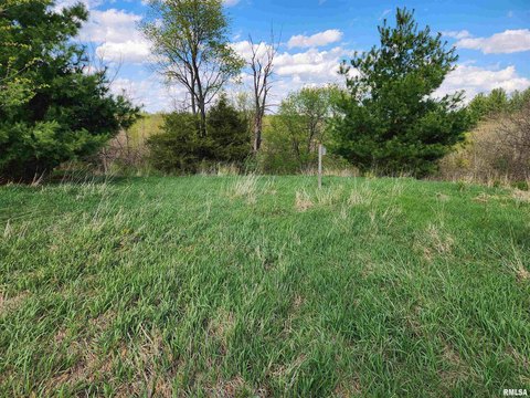 LAND - Metamora, IL