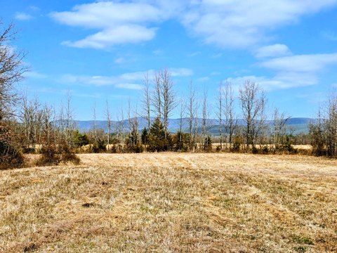 Recreational Pasture and Timber Land