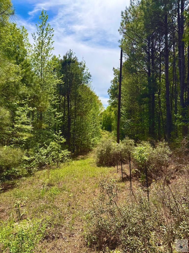 East Texas Land Opportunity