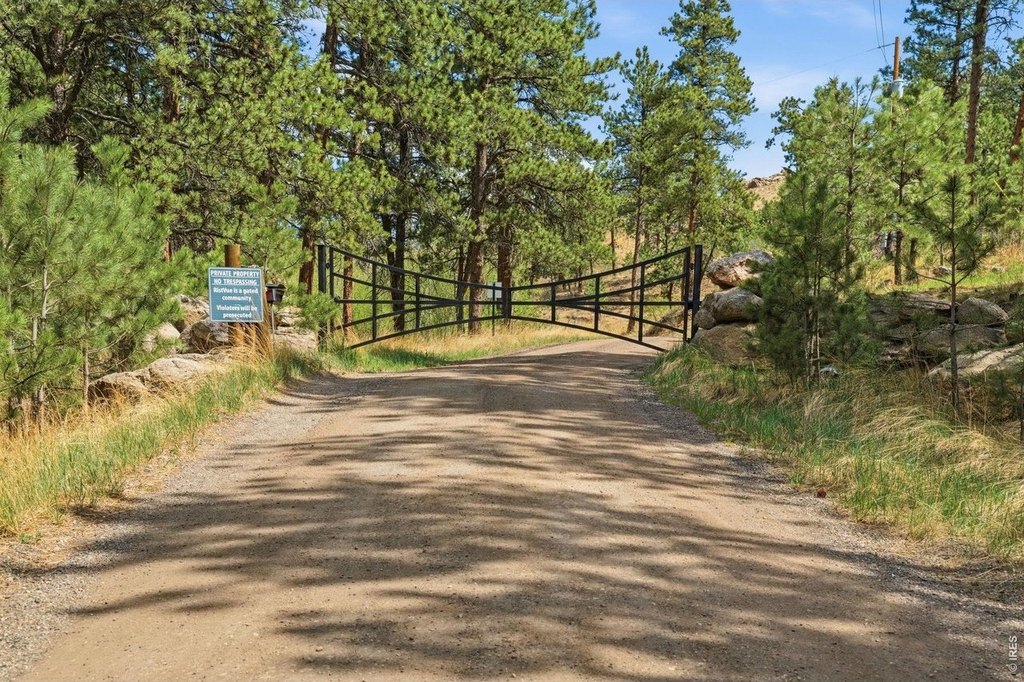 Picture 25