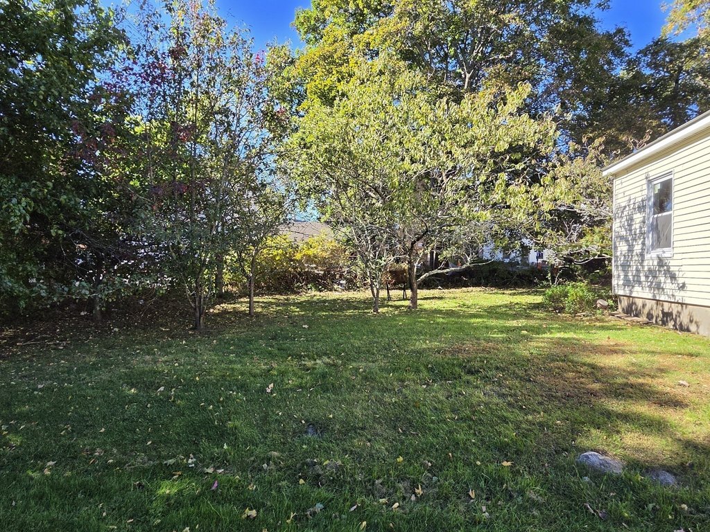 Picture 37