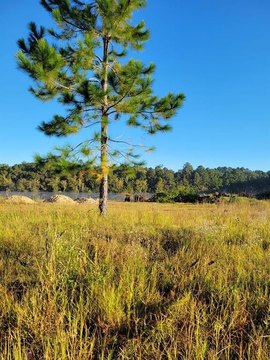 Waycross Lakefront Lot For Sale