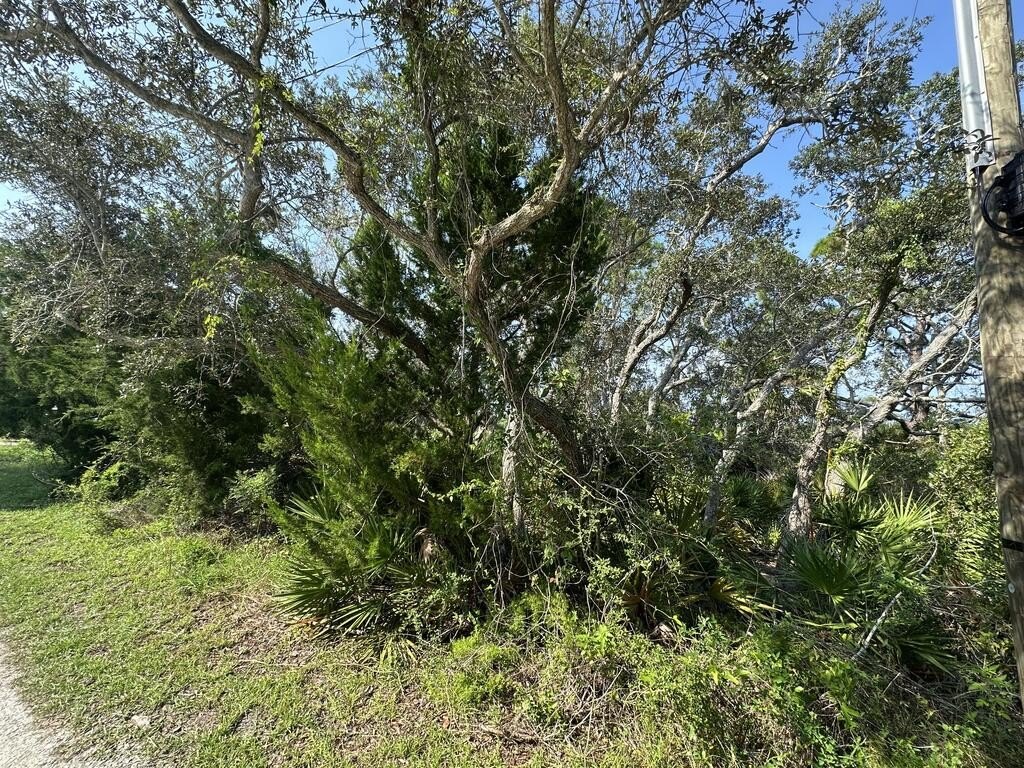 Picture 7