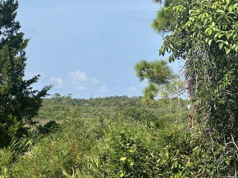 Land, Cedar Key, FL