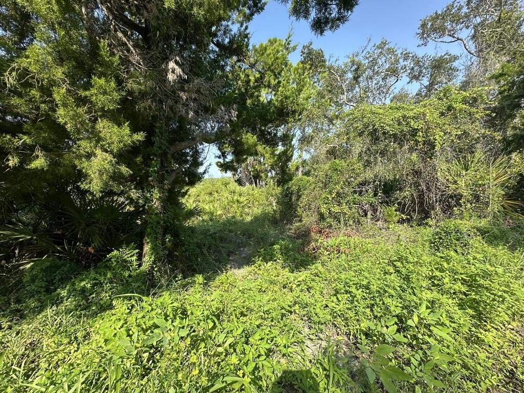 Picture 18