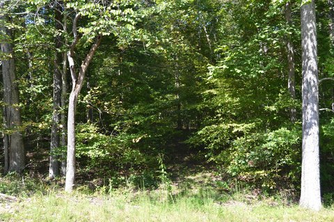 LAND - Eddyville, KY