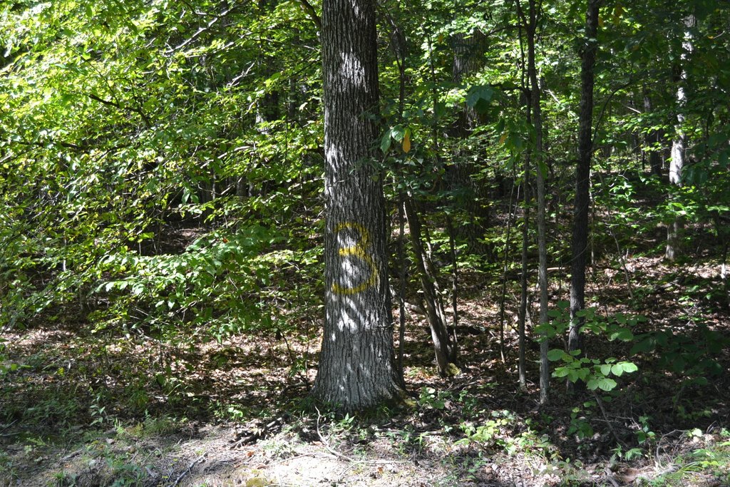 Picture 2
