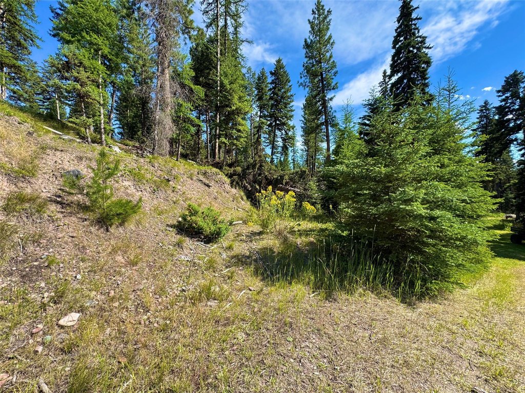 Picture 15