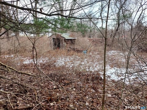 Land Parcel in Andover, CT