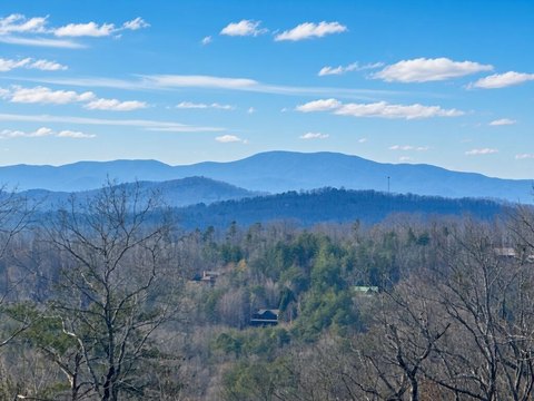 Vacant Lot, Blue Ridge, GA