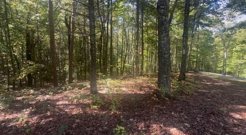 Secluded Wooded Lot in Murphy