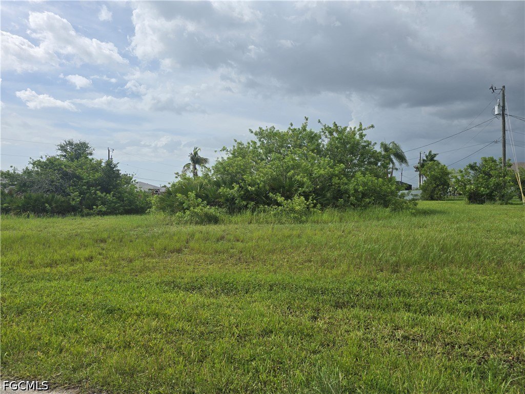 Picture 6