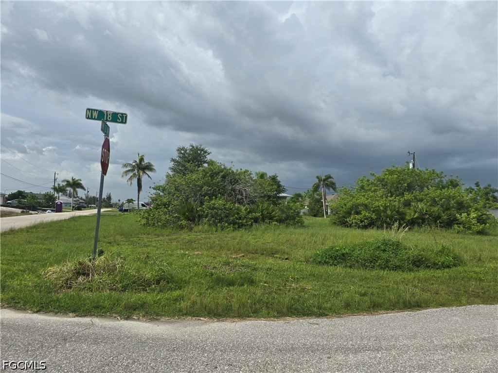 Picture 8