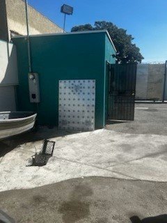Picture 3