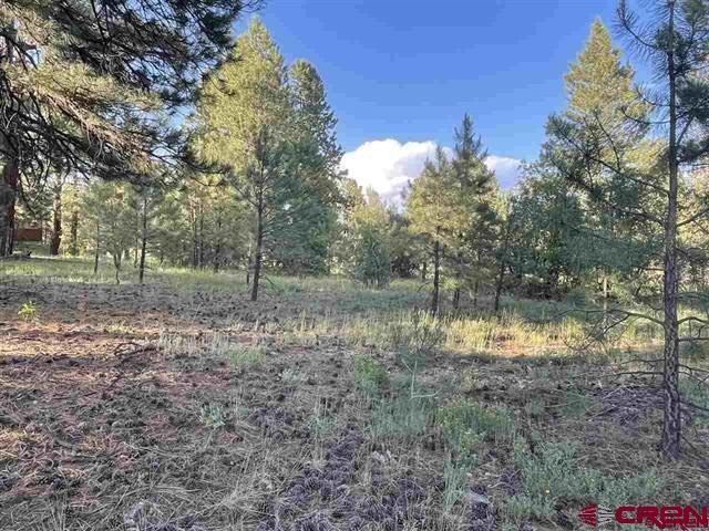 Land in Pagosa Springs, CO