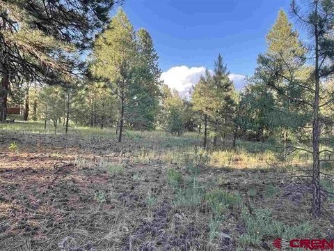 Land in Pagosa Springs, CO