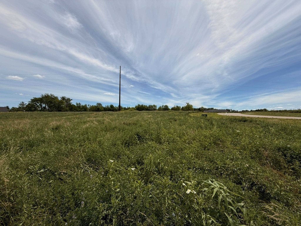 Picture 3