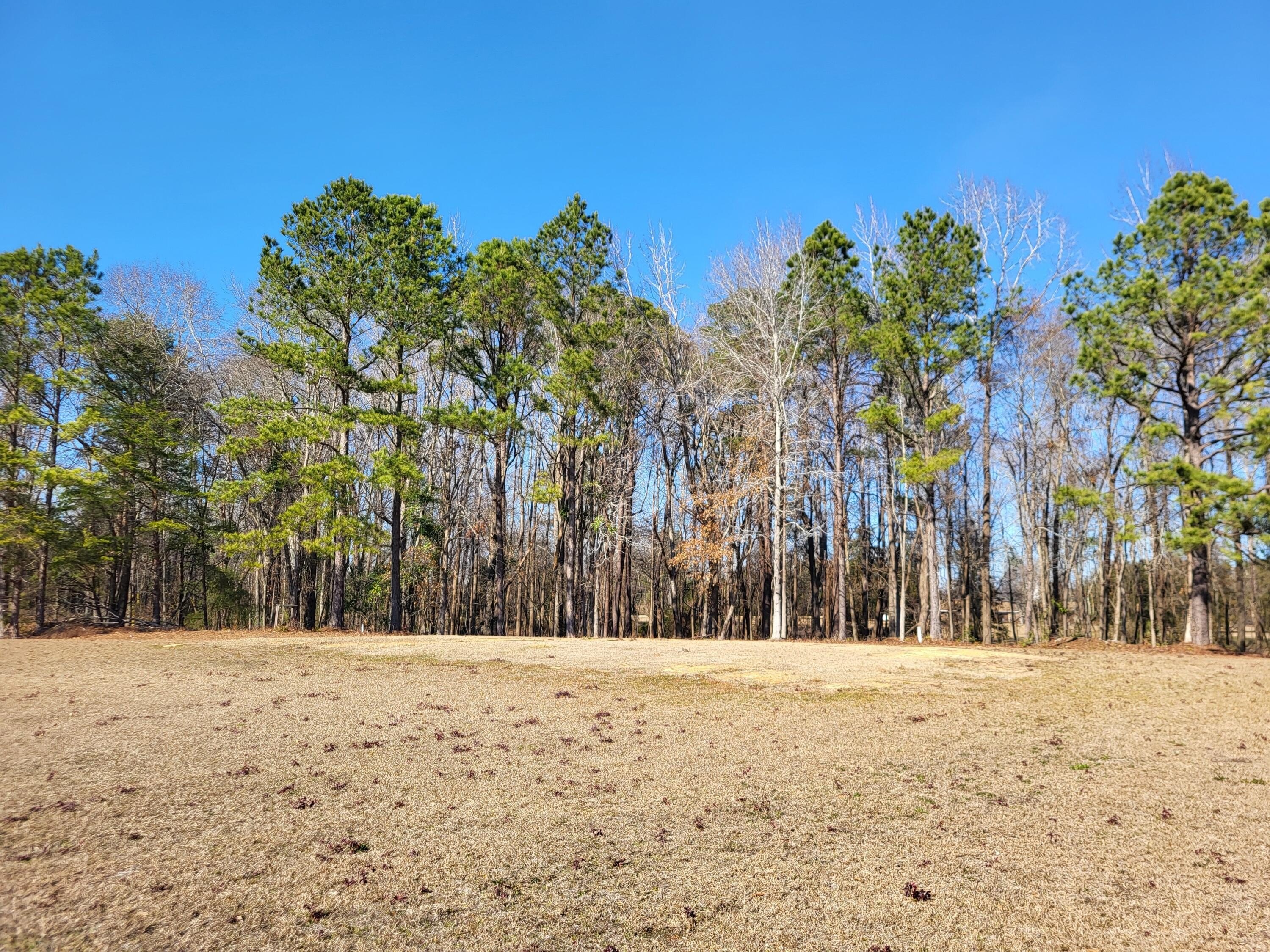 Land Near Lake Marion Access