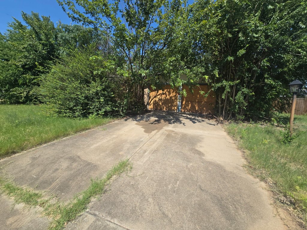 Picture 4