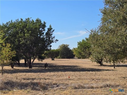 Belton, TX Land Opportunity