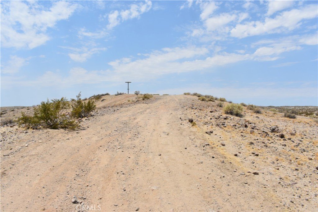 Picture 5