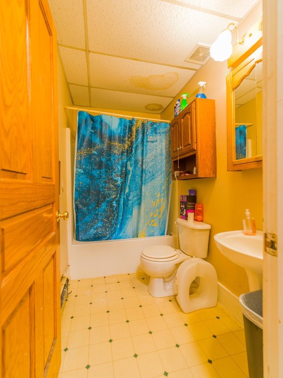 Picture 20