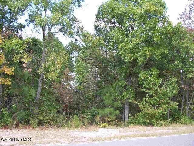 Waterfront Double Lot Opportunity