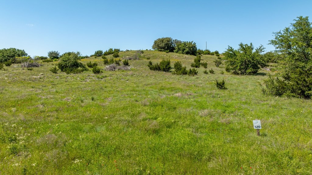 Picture 25