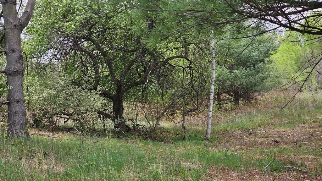Picture 10