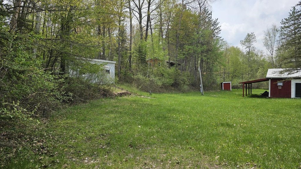 Picture 3