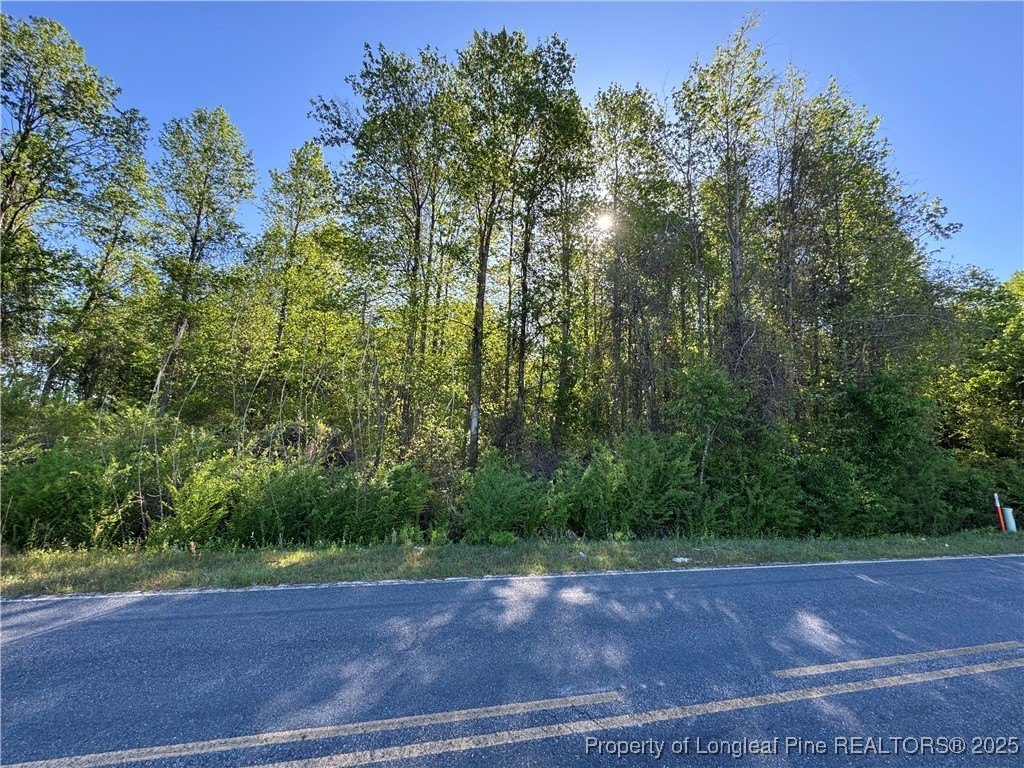 Hoke County Land For Sale