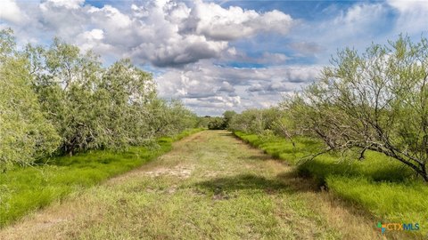 Wooded Acreage Near Victoria, TX