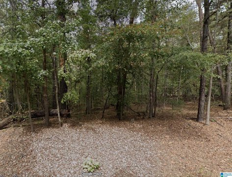 Zoned Agricultural Land Lot