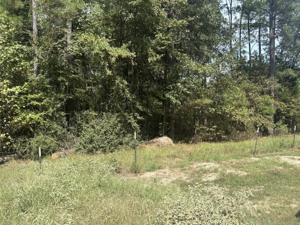 Picture 5