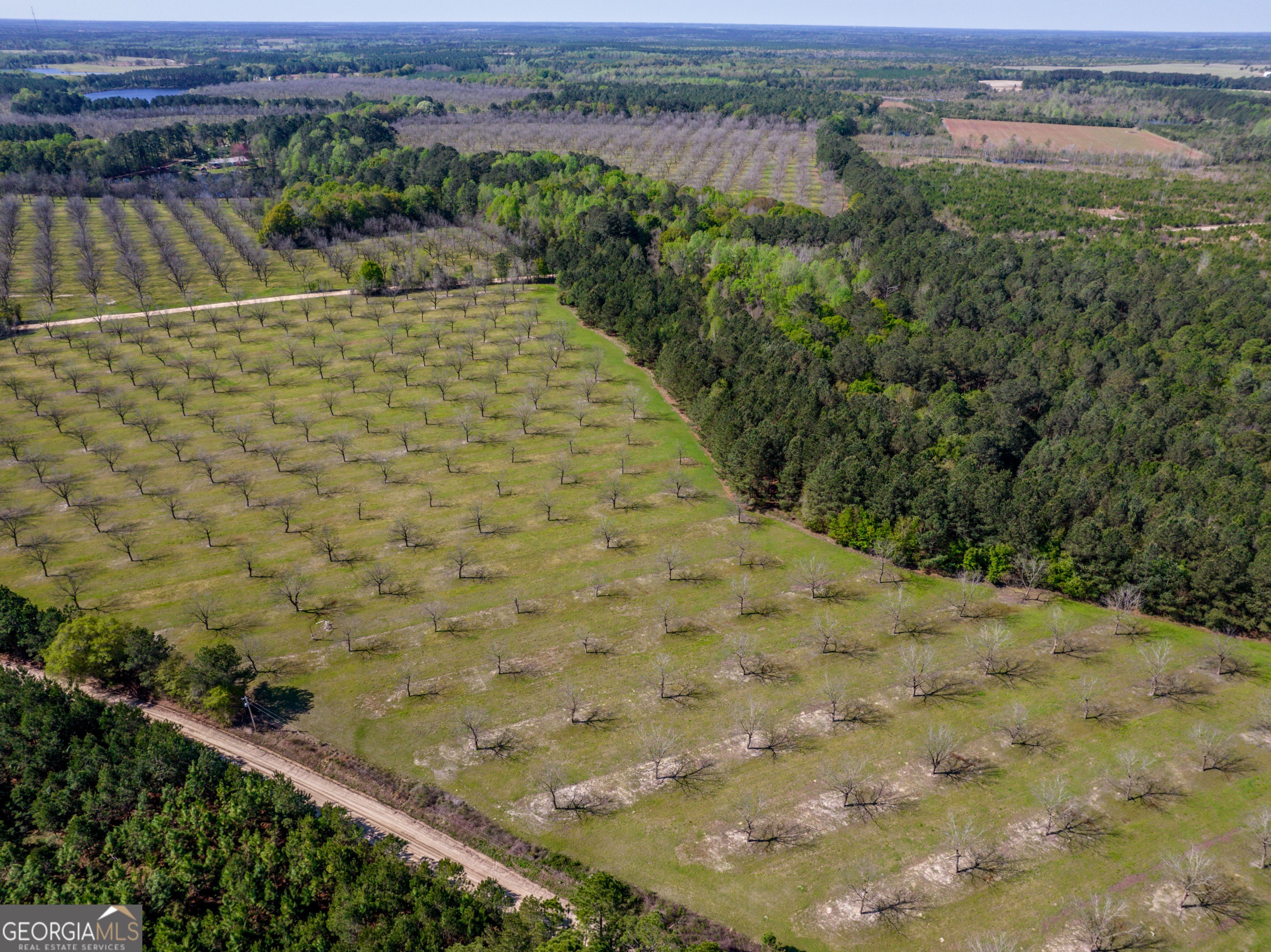 Cobbtown, GA Land For Sale
