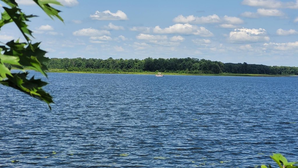 Picture 7